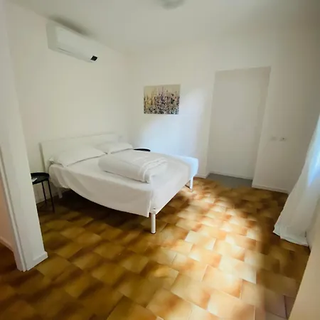 Primula بيلاجيو