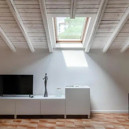 Primula 벨라지오